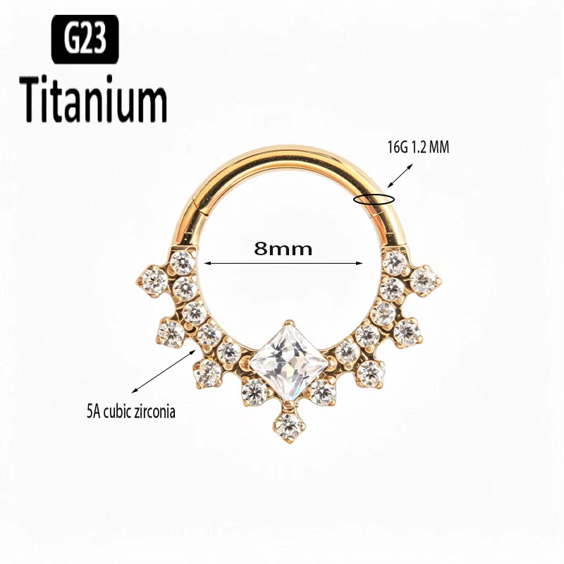 G23 Titanium High Quality Plan - Body Jewelry Quality ulasan dan harga
